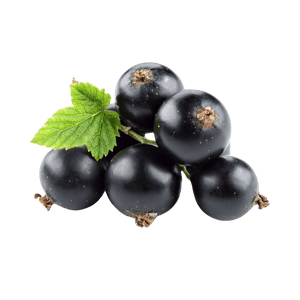 Blackcurrant