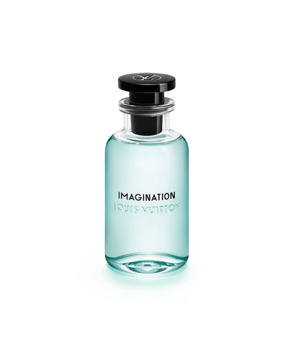 Imagination EdP