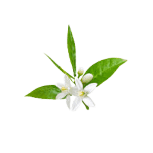 Neroli