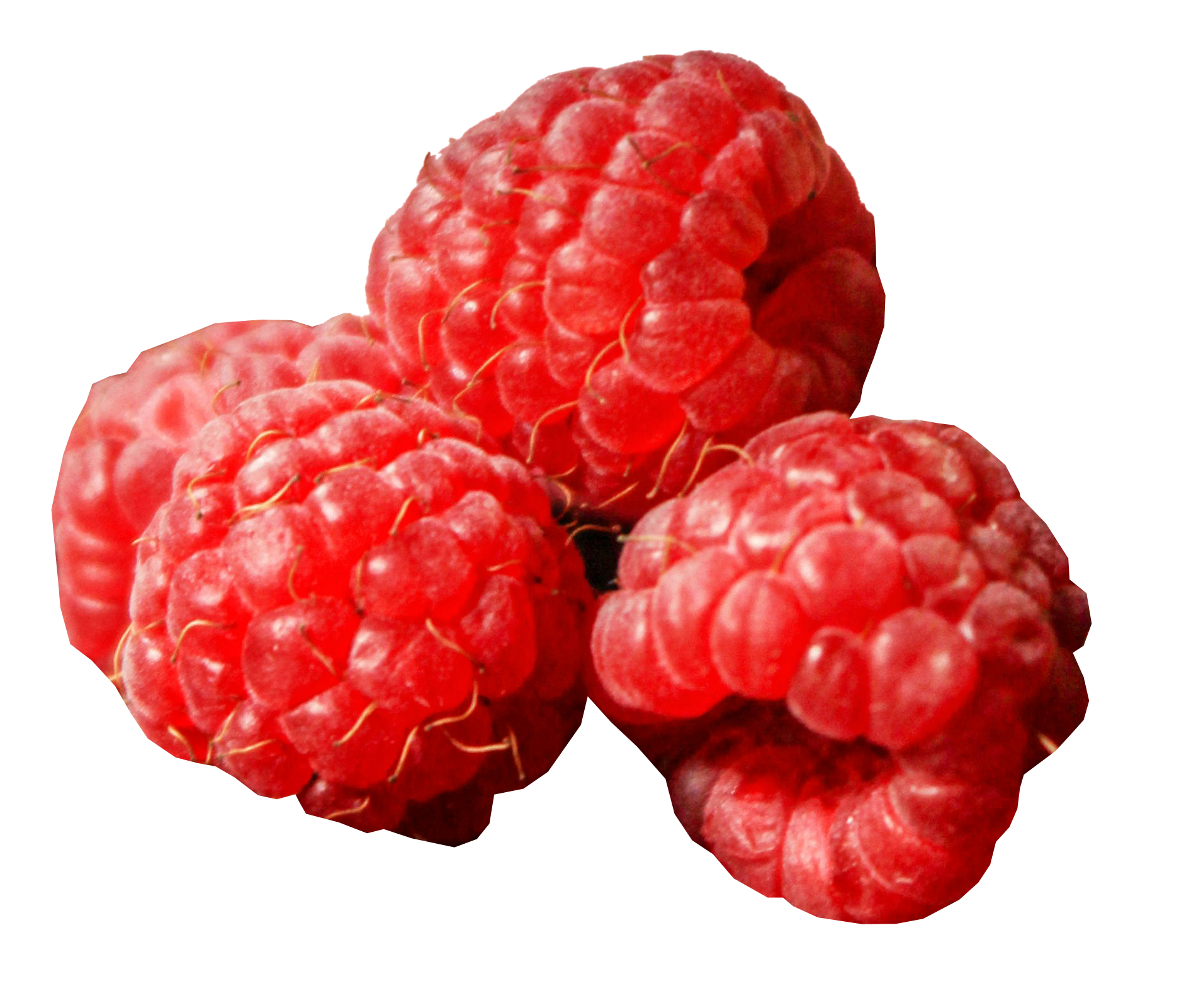 Raspberry