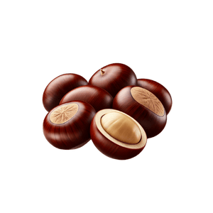 Chestnut Accord