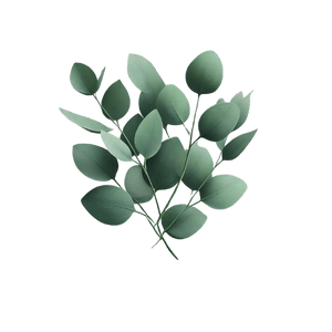 Eucalyptus