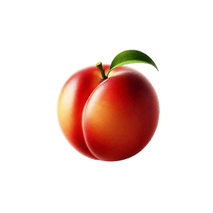 Nectarine