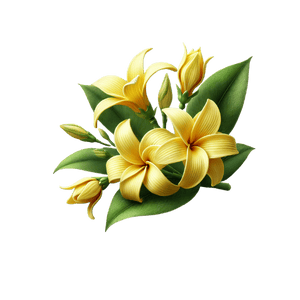 Ylang-Ylang