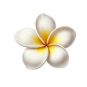 Frangipani