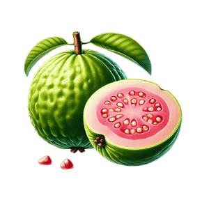 Guava