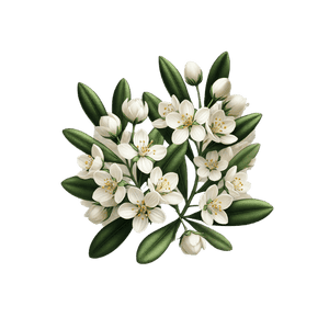 Olive Flower